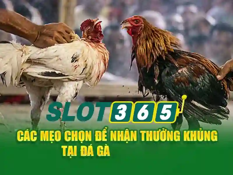 Hỗ Trợ Nạp Tiền Slot365