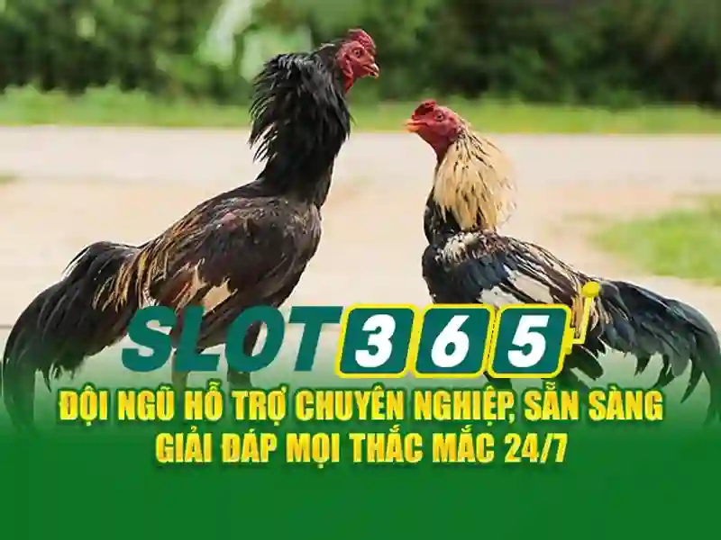 Đa Dạng Slot Game