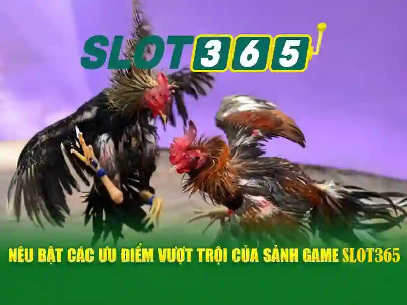 Trải nghiệm Slot365