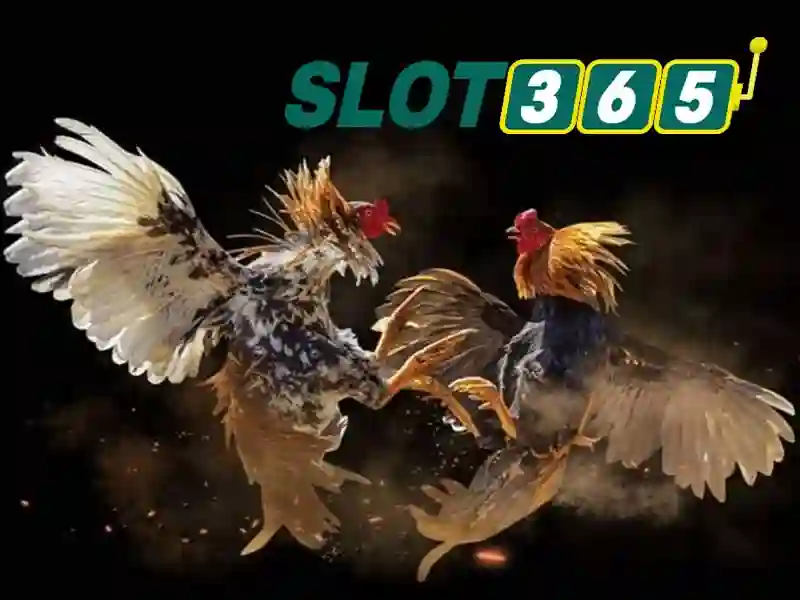 Khám phá Slot365