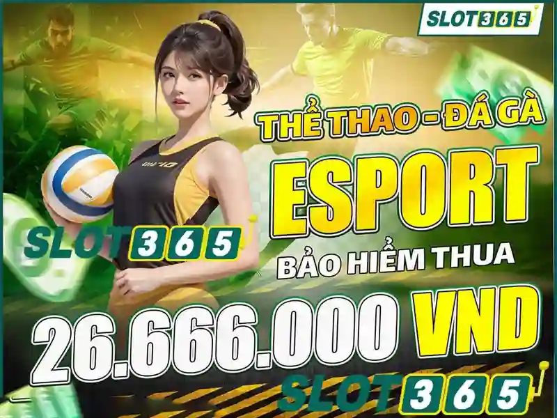 Hướng Dẫn Đăng Nhập Slot365