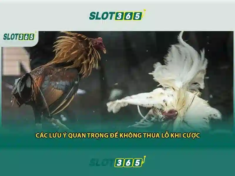 ưu điểm Slot365