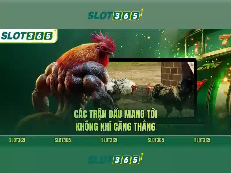 Quyền Riêng Tư SLOT365