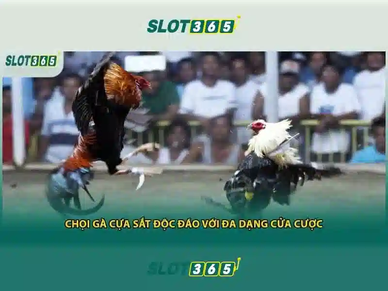 Khuyến mãi Slot365 độc quyền