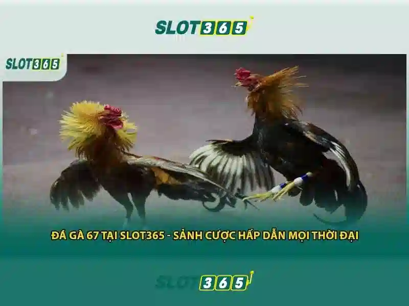 Trải Nghiệm Bắn Cá Slot365