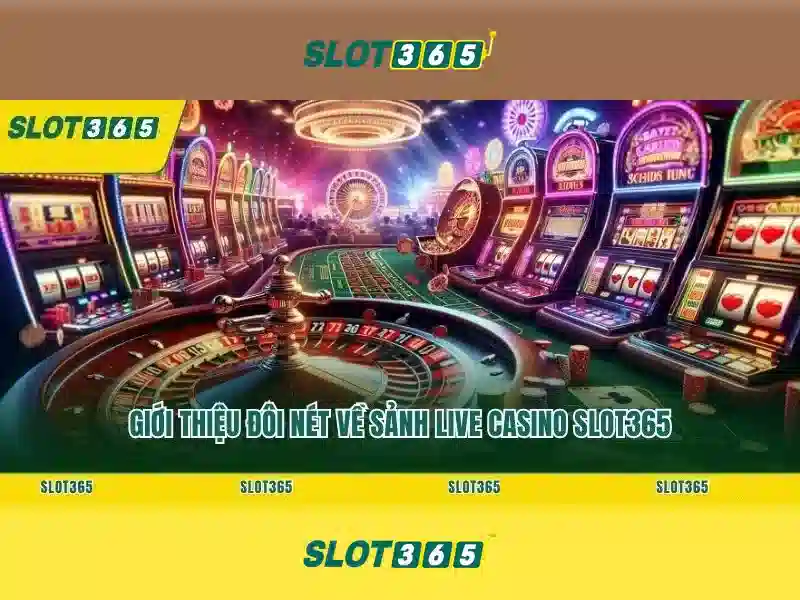 slot365 casino