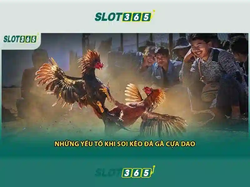 slot365 chính thức