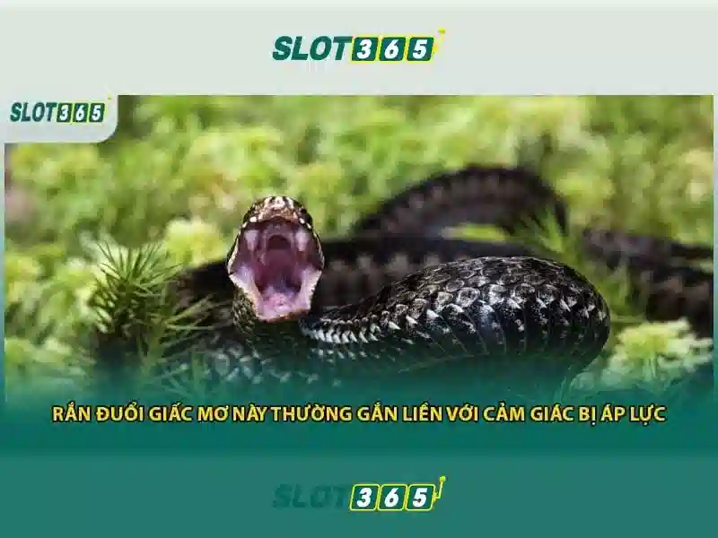 trải nghiệm casino Slot365