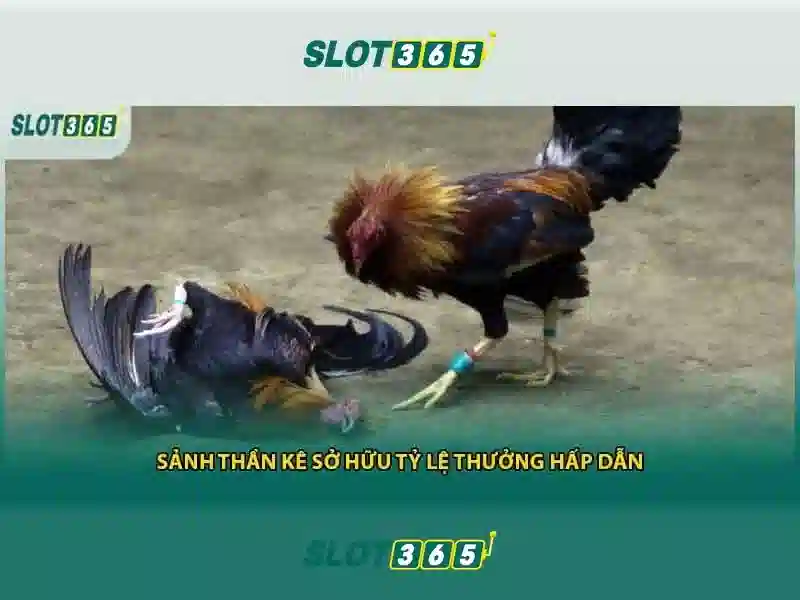 hướng dẫn rút tiền