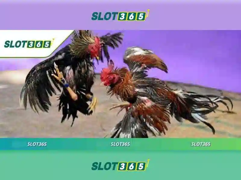 slot365 game