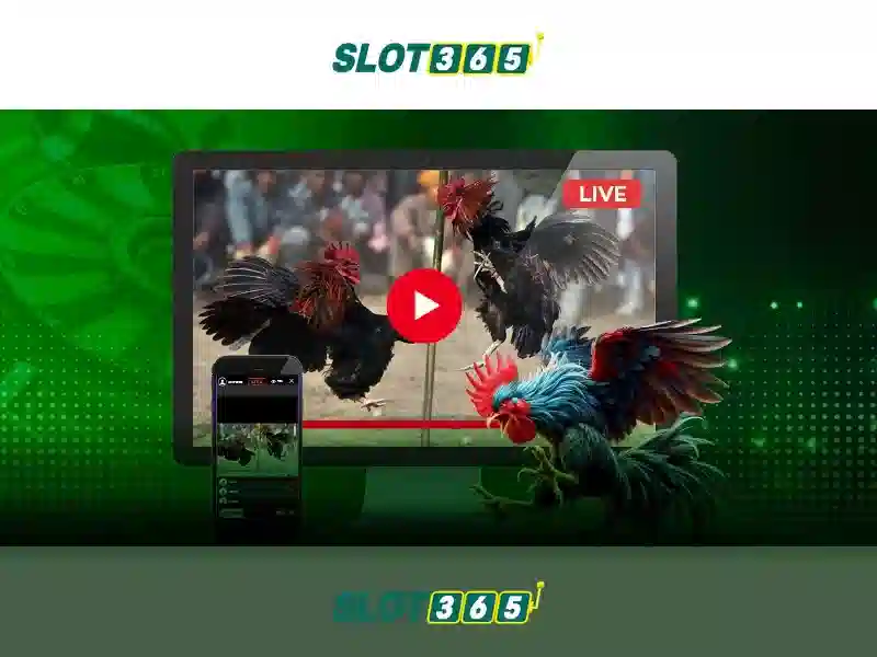 SLOT365 tính năng nổi bật