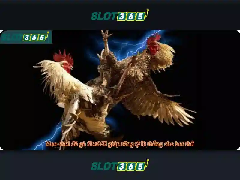 Trải Nghiệm Slot365