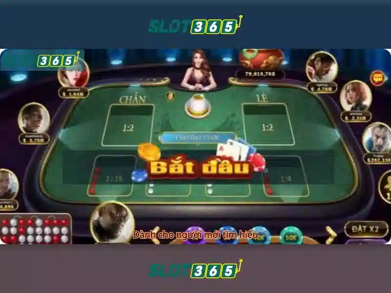 Hướng Dẫn Sử Dụng Slot365