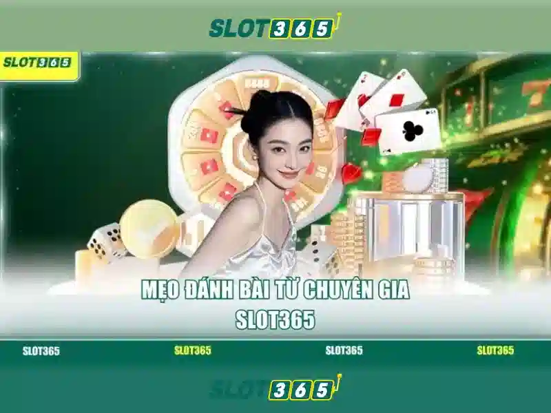 slot365 có uy tín không - Trang Chủ Slot365 Đảm Bảo An Toàn & Chất Lượng 2026
