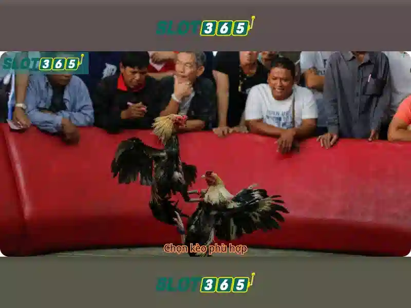phương thức nạp tiền Slot365