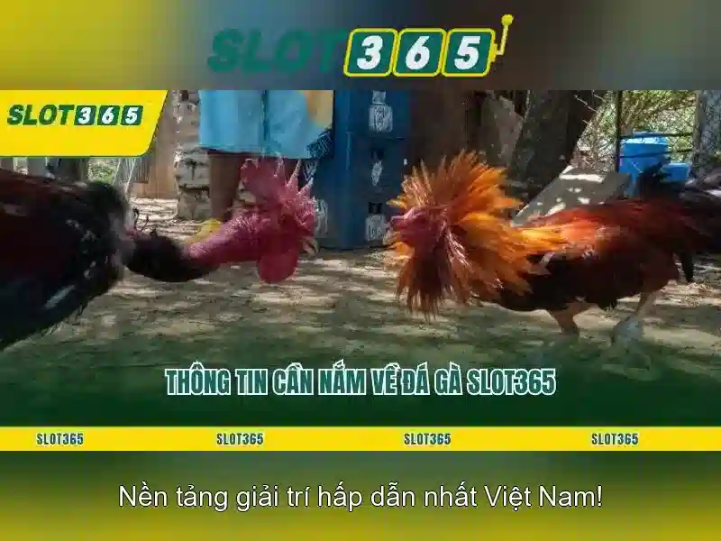 Các loại trò chơi slot,SLOT365