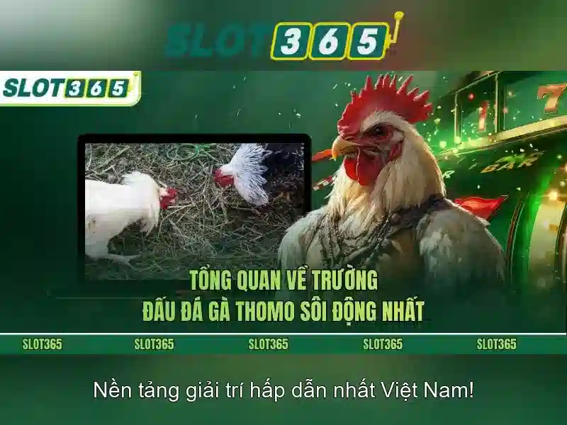 SLOT365 – Trang Chủ Slot365 Com, Trải Nghiệm Slot365 Đỉnh Cao và An Toàn 2026