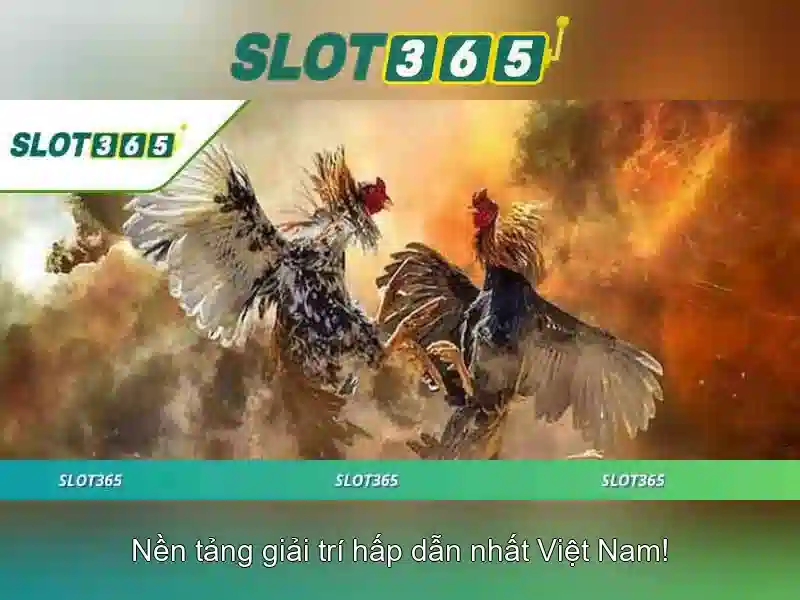 Tại Sao Nên Chọn Slot365 App