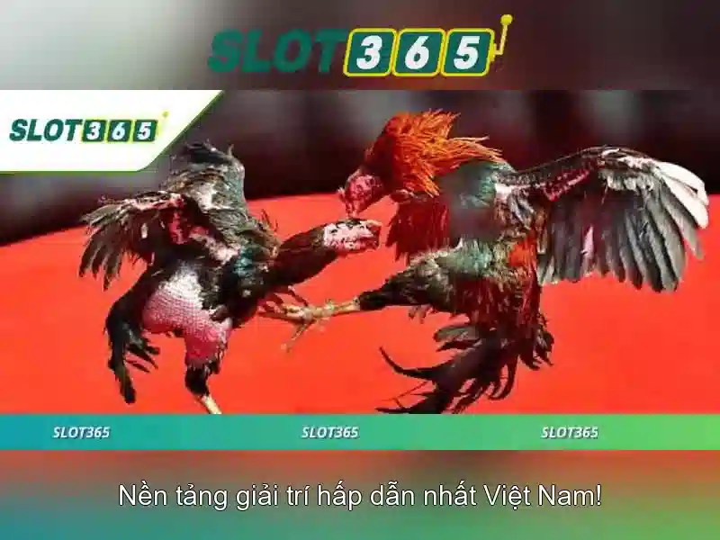 Các Tựa Game Slot Được Ưa Chuộng Nhất