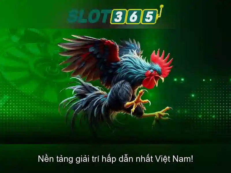 Slot365 apk - Trải Nghiệm Slot365 Đỉnh Cao Với Giao Diện Đa Dạng
