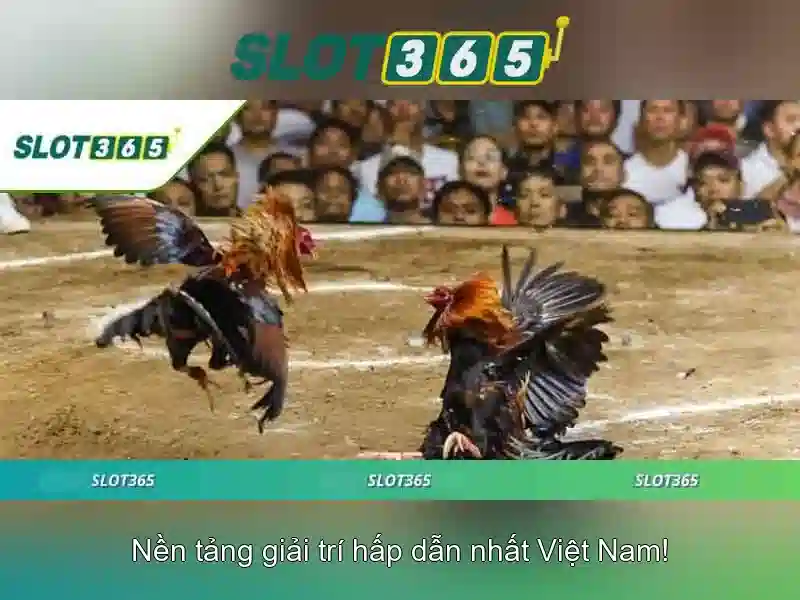 Bảo Mật và Dịch Vụ Chuyên Nghiệp