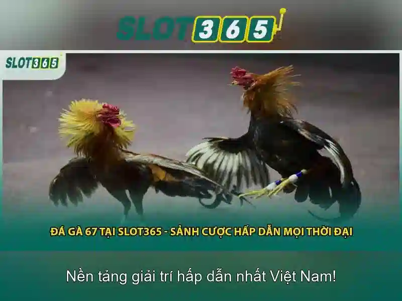 Các Loại Máy Slot Được Ưa Chuộng Nhất 2026