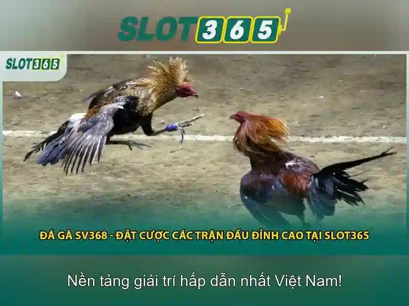 SLOT365 là gì