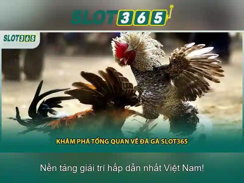 Giới Thiệu Về SLOT365