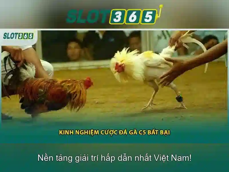 khuyến mãi Slot365