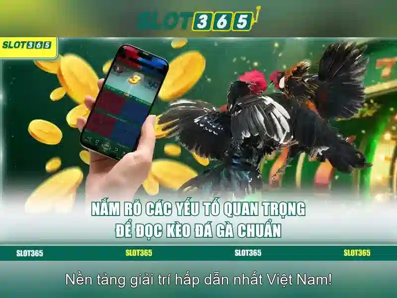 Bảo vệ thông tin người dùng