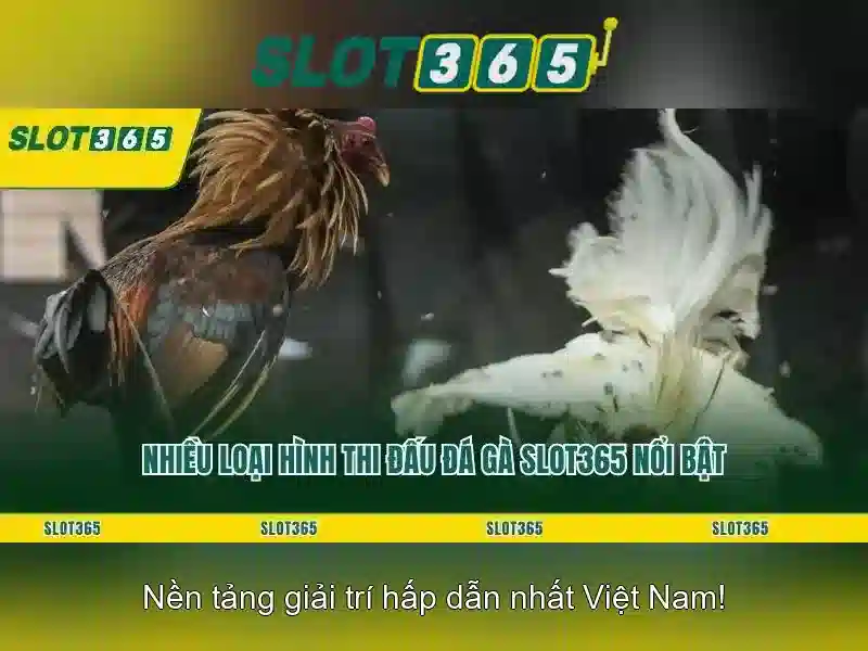 Slot365 tải app