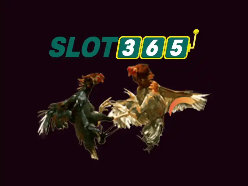 SLOT365 Poker