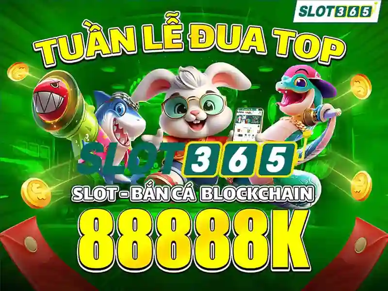 Quyền và nghĩa vụ người chơi – SLOT365 Hướng Dẫn Trọn Bộ