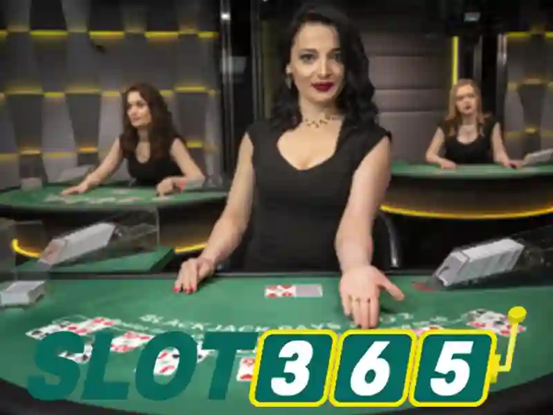 Đánh Giá Slot365