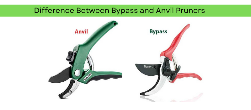 Bypass Pruners vs Anvil Pruners