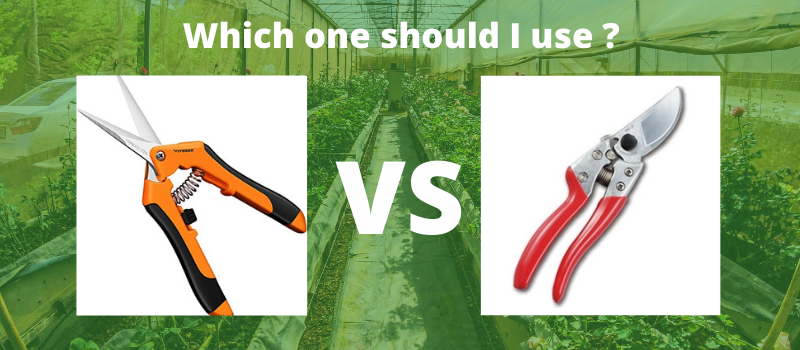 Pruning Shears vs Scissors