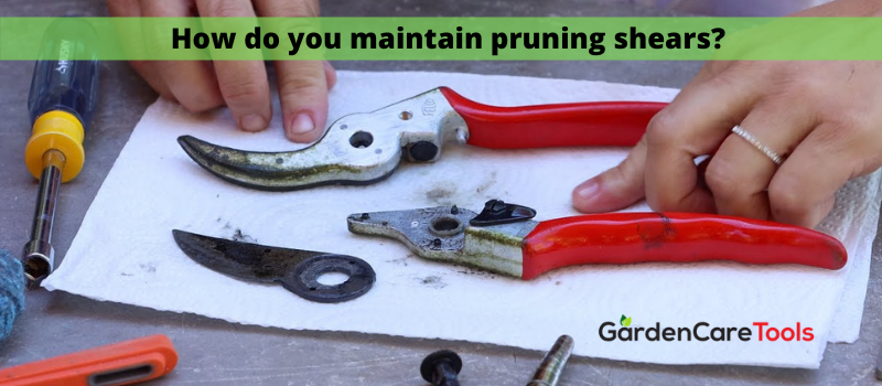 How do you maintain pruning shears?