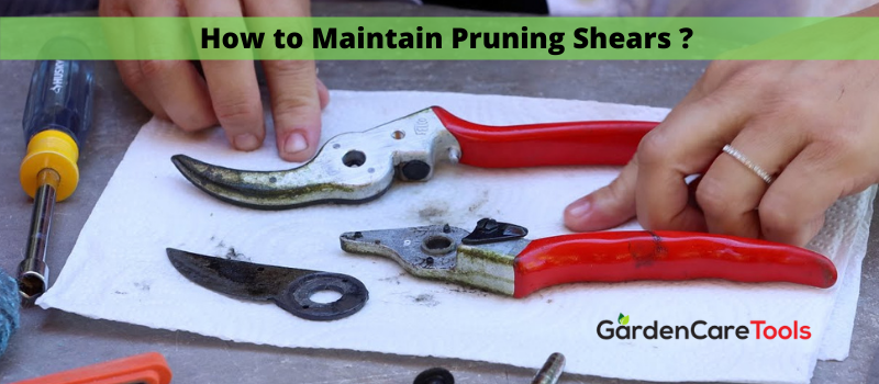 How to Maintain Pruning Shears